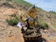 Manjushri (Gold Gilded, 12.5")
