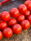 Genuine Coral Mala (108 Beads)