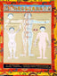 Thangka - Medical Thangka - B - (Hand Painted, 18" x 24") - Tibetan Spirit