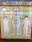 Thangka - Medical Thangka - B - (Hand Painted, 18" x 24") - Tibetan Spirit