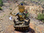 Manjushri (Gold Gilded, 12.5")