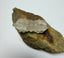 Vajra - Crystal Quartz Vajra (Small) - Tibetan Spirit