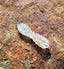 Vajra - Crystal Quartz Vajra (Standard) - Tibetan Spirit