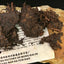 Tea - 9599 Langhe Puerh Tea - Tea for Dharmapalas - Tibetan Spirit