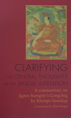 Clarifying the Central Thoughts of the Single Intention