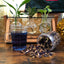 Tea - Butterfly - Pea Flower Tea - Tibetan Spirit