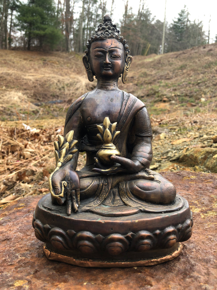 Medicine Buddha - 10.5"