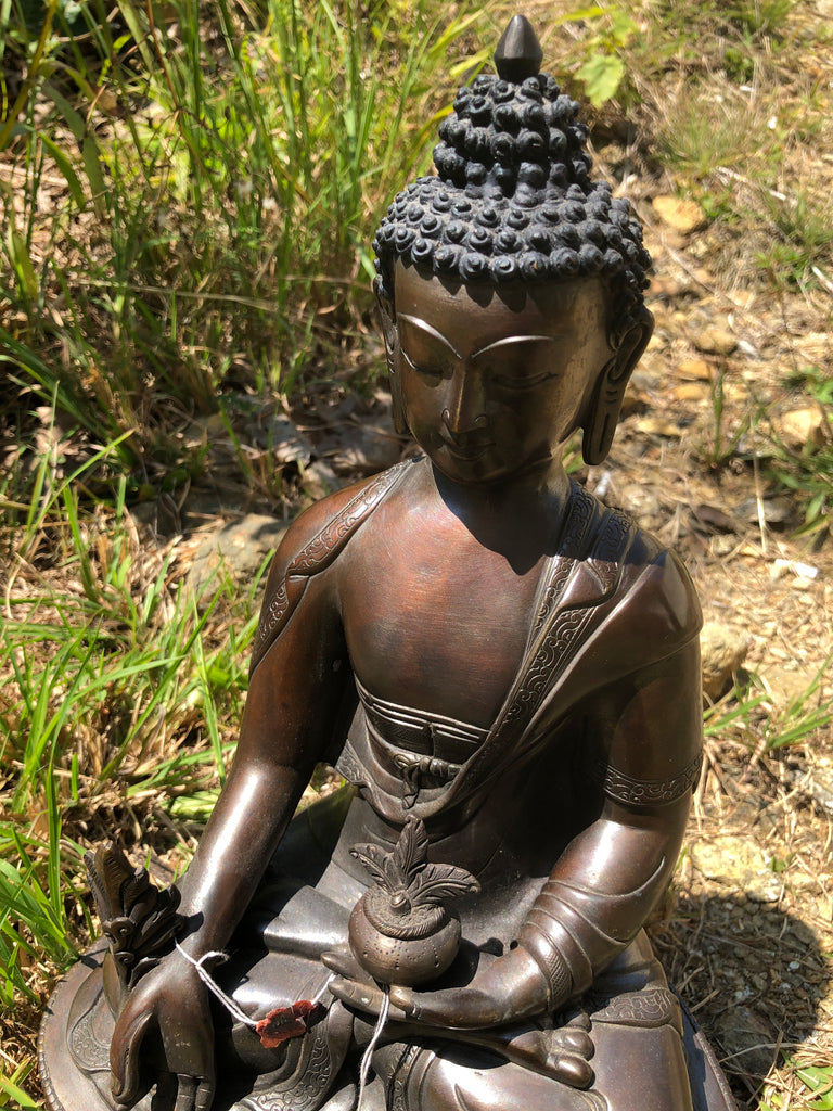 Medicine Buddha - 12"